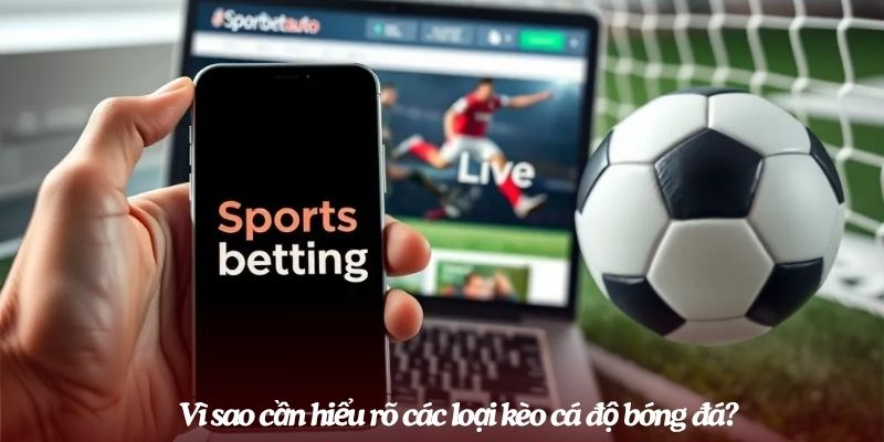 hiểu rõ các loại kèo cá độ bóng đá