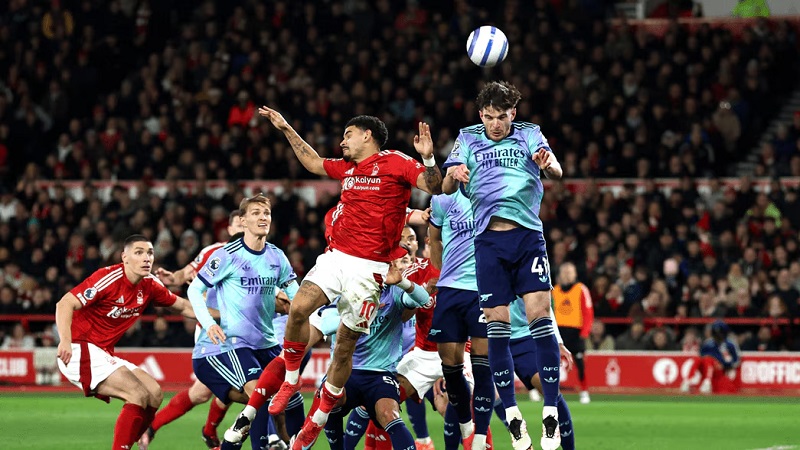 Tình hình lực lượng hai đội